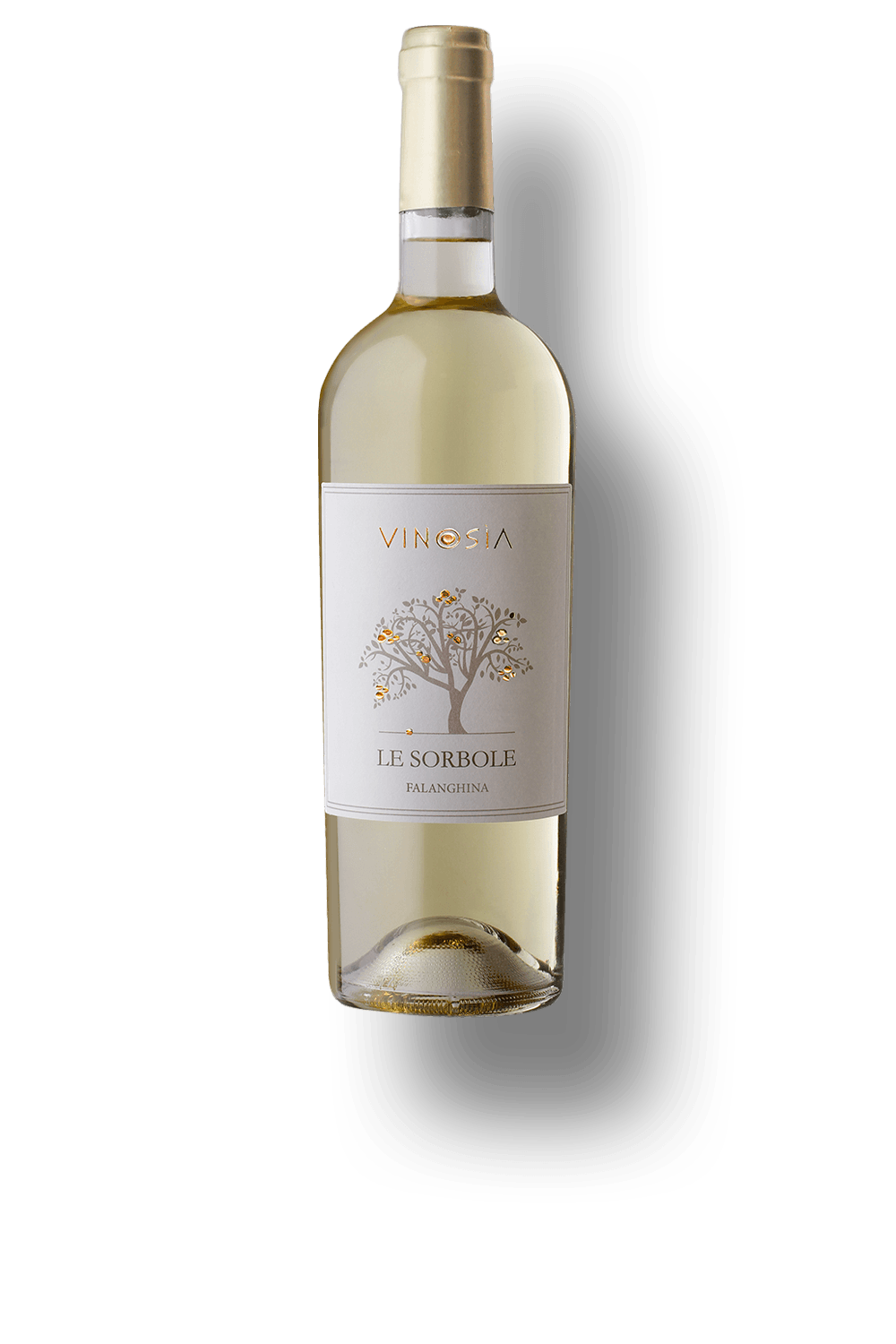 Vinho Vinosia Branco Seco Itália Le Sorbole Falanghina 2022 750ml